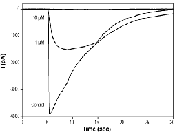 SDZ 205-557 hydrochloride