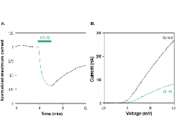 Agitoxin-3