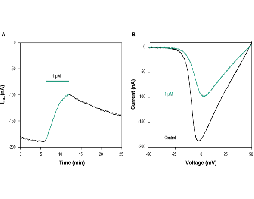 ω-Agatoxin TK