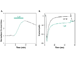 BmKI Toxin