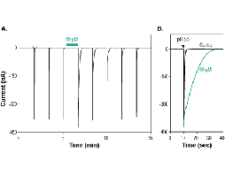 Cono RPRF-amide