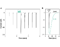 Cono VGRPRF-amide
