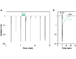Cono AIVGRPRF-amide