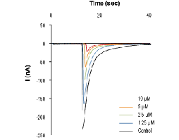 α-Conotoxin AuIB