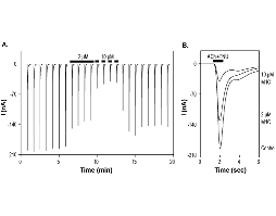 α-Conotoxin MrIC