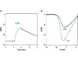 µ-Conotoxin PIIIA