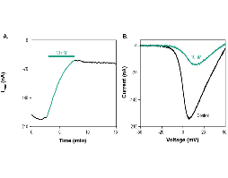 ω-Conotoxin CVIB
