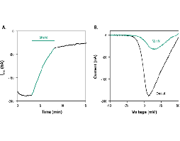 ω-Conotoxin CVIC