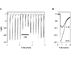 α-Conotoxin LtIA