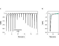 αC-Conotoxin PrXA