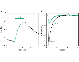 µ-Conotoxin SxIIIA