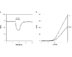 κ-Conotoxin RIIIK