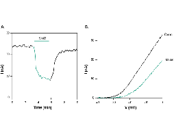 κ-Conotoxin RIIIJ