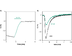 Ceratotoxin-1