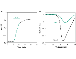 ω-Conotoxin CVIA