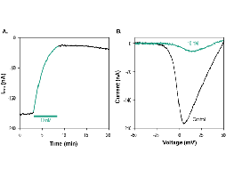 ω-Conotoxin CVIE