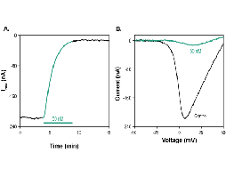 ω-Conotoxin FVIA