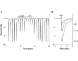 α-Conotoxin SI