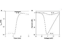 ω-Conotoxin RVIA