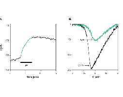 ω-Conotoxin RVIA
