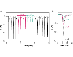 α-Conotoxin PIA