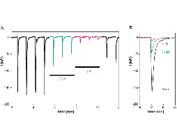 α-Conotoxin EI