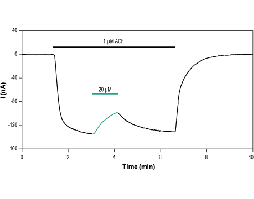 α-Conotoxin AuIA