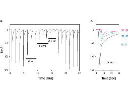 α-Conotoxin PeIA