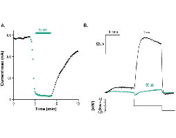 Ergtoxin-1