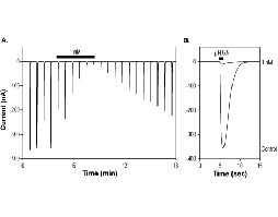 Hm3a Toxin