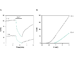 HsTx1 Toxin