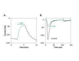 Heteropodatoxin-1