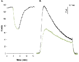 Heteropodatoxin-2