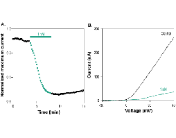 Hongotoxin-1