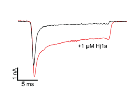 Hj1a Toxin
