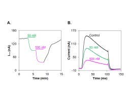 Jingzhaotoxin-X