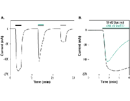 MmTx2 Toxin