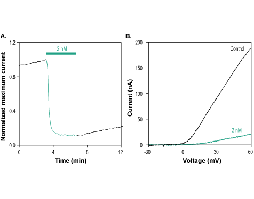 OsK-1 Toxin
