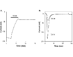 ProTx-II-Biotin