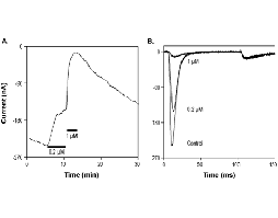 Phlo1a