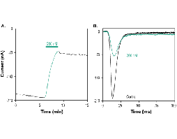 Phlo1b