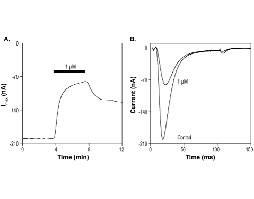 ProTx-I