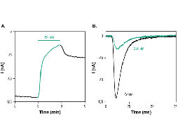 Phrixotoxin-3
