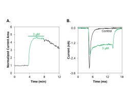 Ectatotoxin-Rm4a