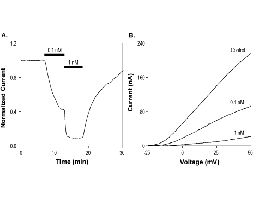 Spinoxin