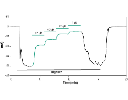 Tertiapin-LQ