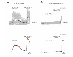 Wasabi Receptor Toxin