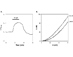 Tanshinone II-A sodium sulfonate