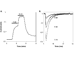 4,9-Anhydrotetrodotoxin