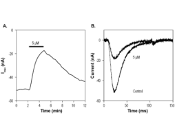 TTA-P2 (S-enantiomer)